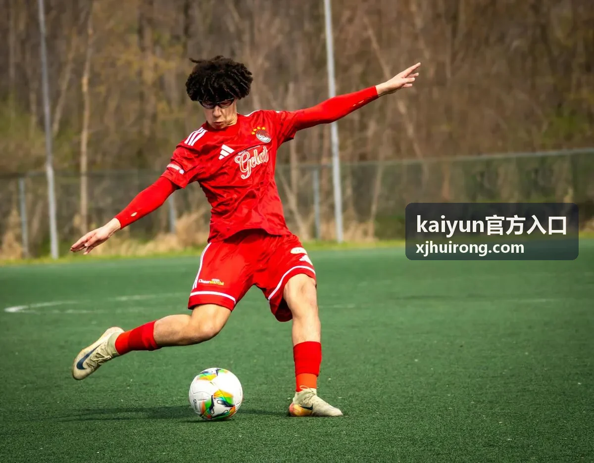 kaiyun官方入口 专属专区内容合辑封面